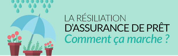 La résiliation d'assurance comment ça marche