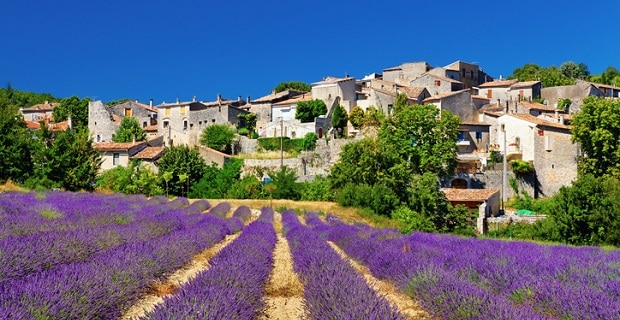 Champs de lavande dans une petite ville de la région Provence