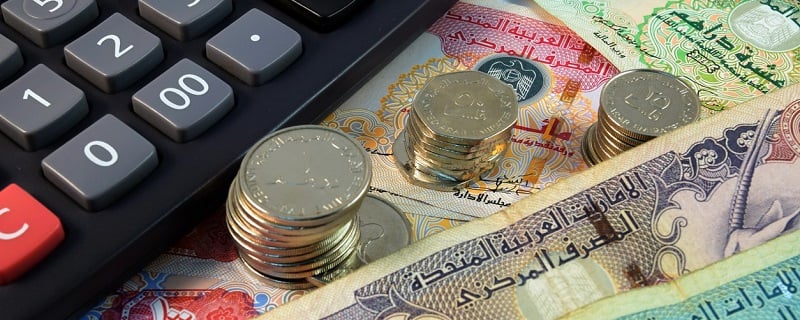 monnaie emirats arabes unis