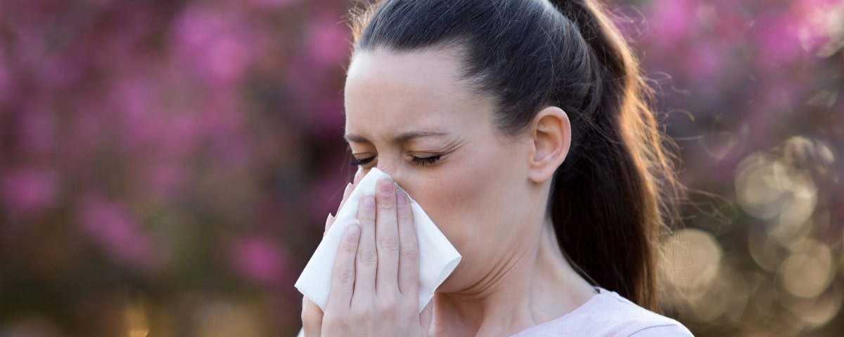  Pollen et allergies  une affluence de patients chez les généralistes