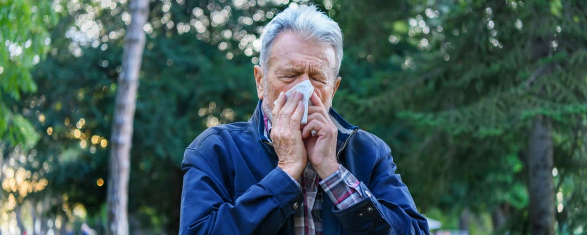 Hausse des risques d’allergie avec le retour précoce du printemps