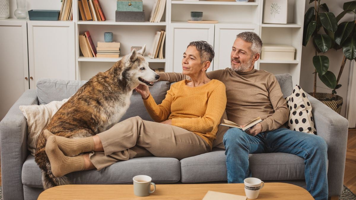 Couple de seniors sur son canapé caressant son chien, animal domestique couvert par l'assurance habitation
