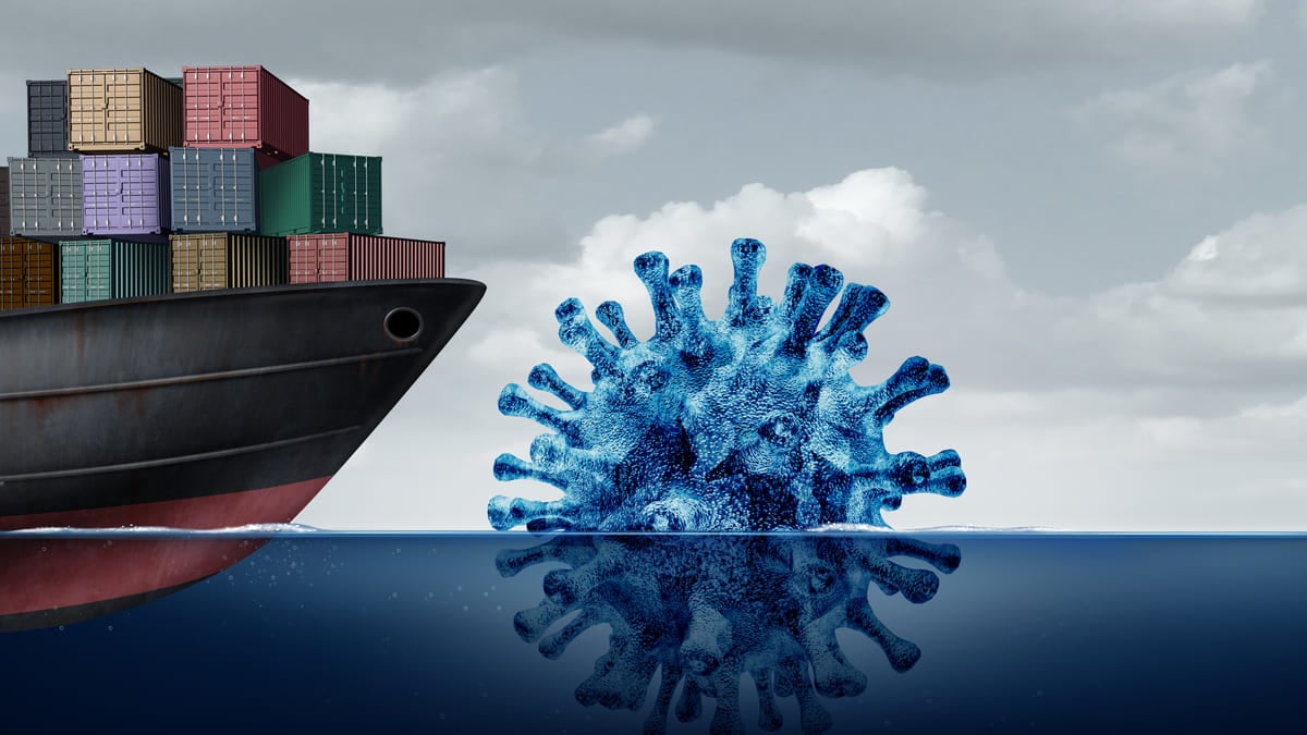 L&rsquo;&eacute;pid&eacute;mie de hantavirus &agrave; bord du MV Hondius est &laquo;&thinsp;sous contr&ocirc;le&thinsp;&raquo;
