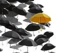 Assurance - Couverture - Parapluie
