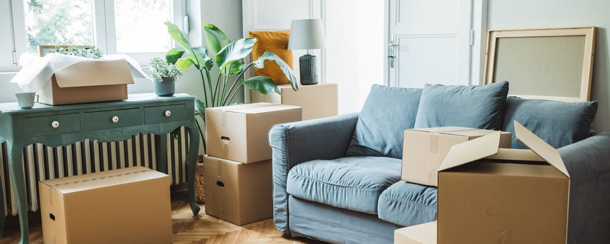 Bail réel solidaire