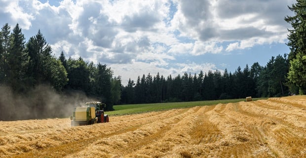 Un terrain agricole