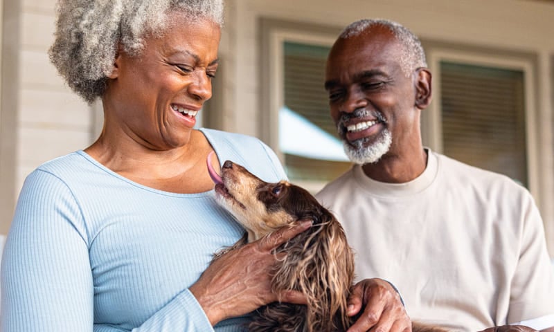 Assurance animaux sans carence