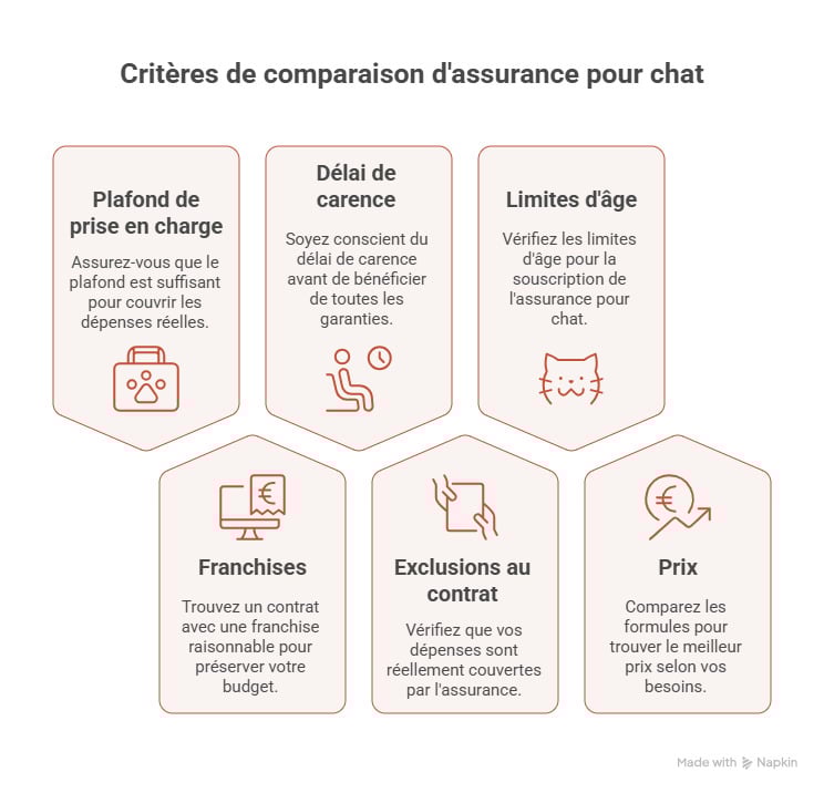 iinfographie assurance animaux