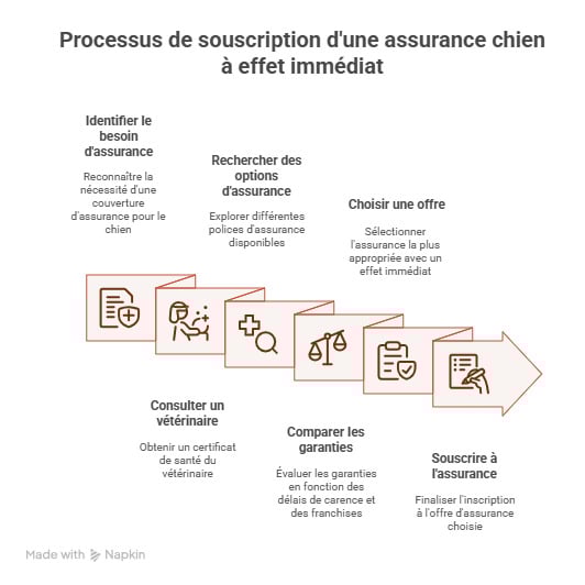 infographie mutuelle chien sans carence comment faire le bon choix
