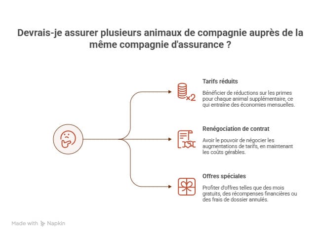 infographie mutuelle plusieurs animaux