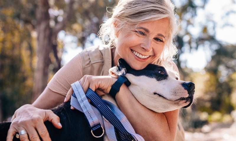 Morsure de serpent chez le chien