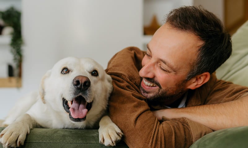 Prix d'un tatouage pour chien