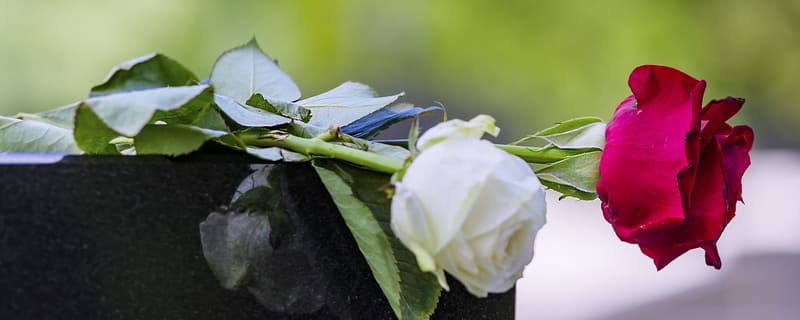 Quelle est la différence entre une assurance décès et une assurance obsèques ?