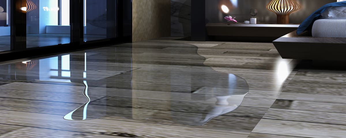 Dégât des eaux non déclaré par le locataire