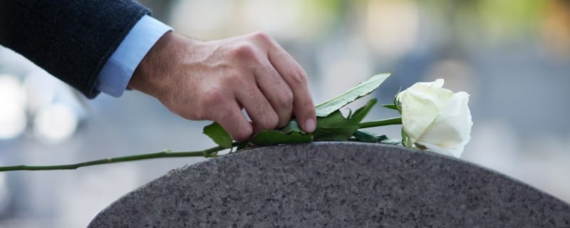 fleur sur une tombe
