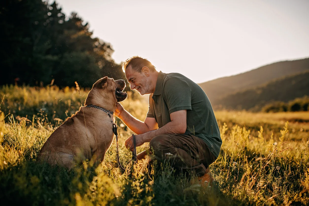 Comment choisir une assurance pour chien ?